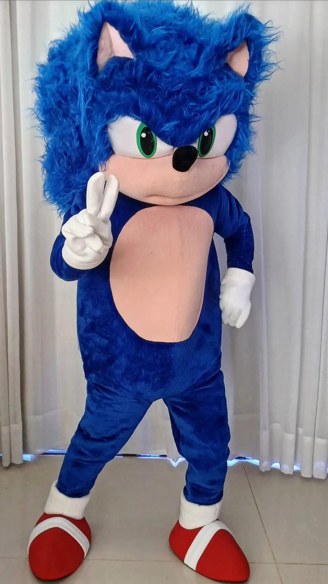 Sonic em animação da Realize