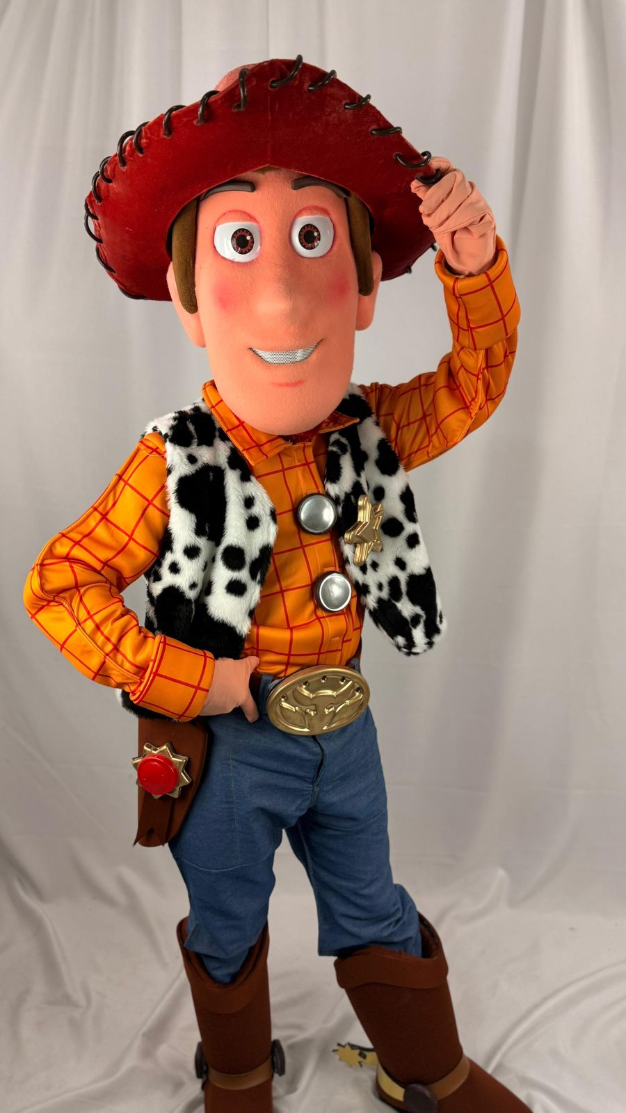 Woody em animação da Realize